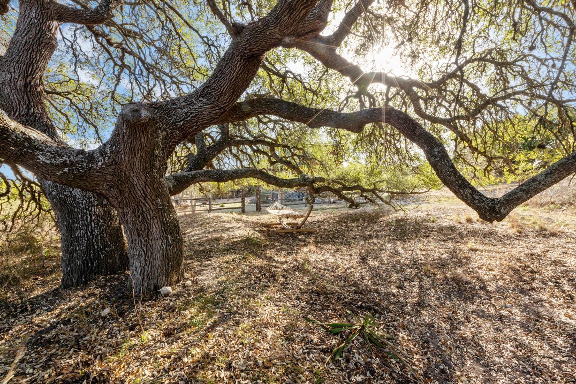 Mighty Oak Log Cabin Фредеріксбург Екстер'єр фото